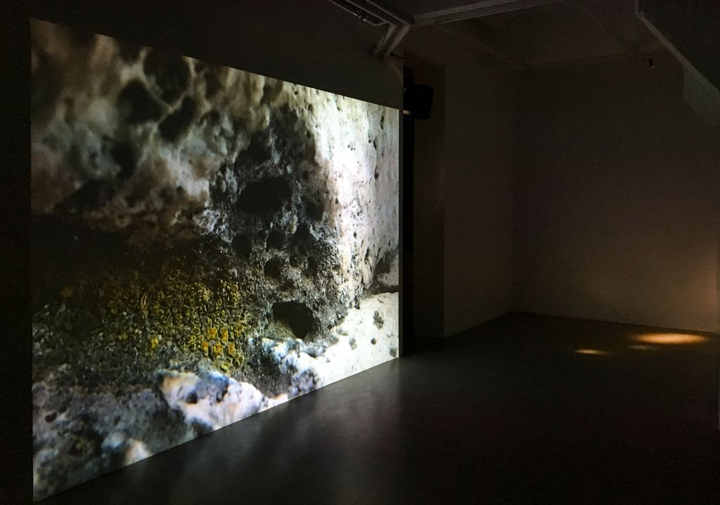 'Close studies III', 2017, ett konstverk av Oscar Furbacken