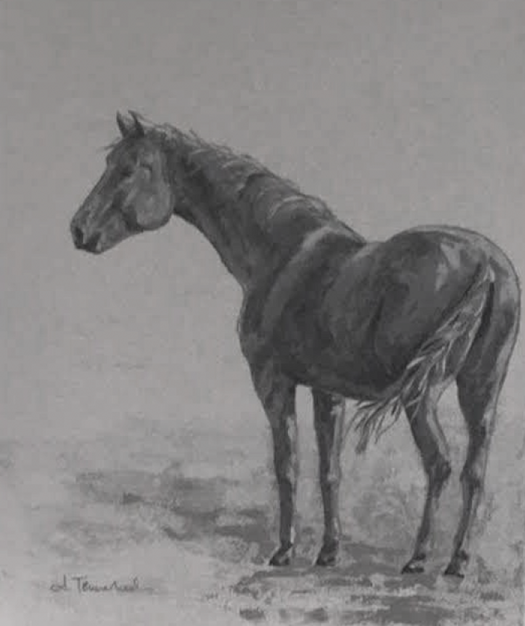 'Untitled', ett konstverk av Okänd