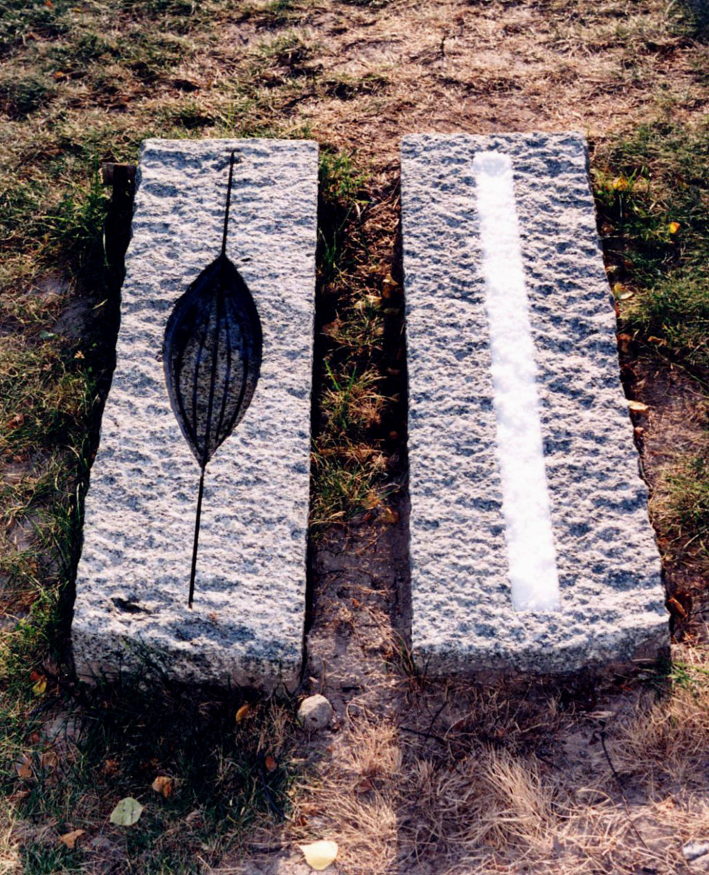 'Tvåsam', 1994, ett konstverk av Barbro Hedström