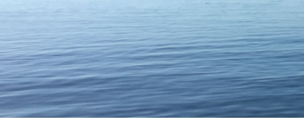 full image