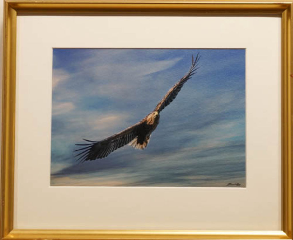 '15. Ljusteröörn, foto 38x32', ett konstverk av Gunnar Linde