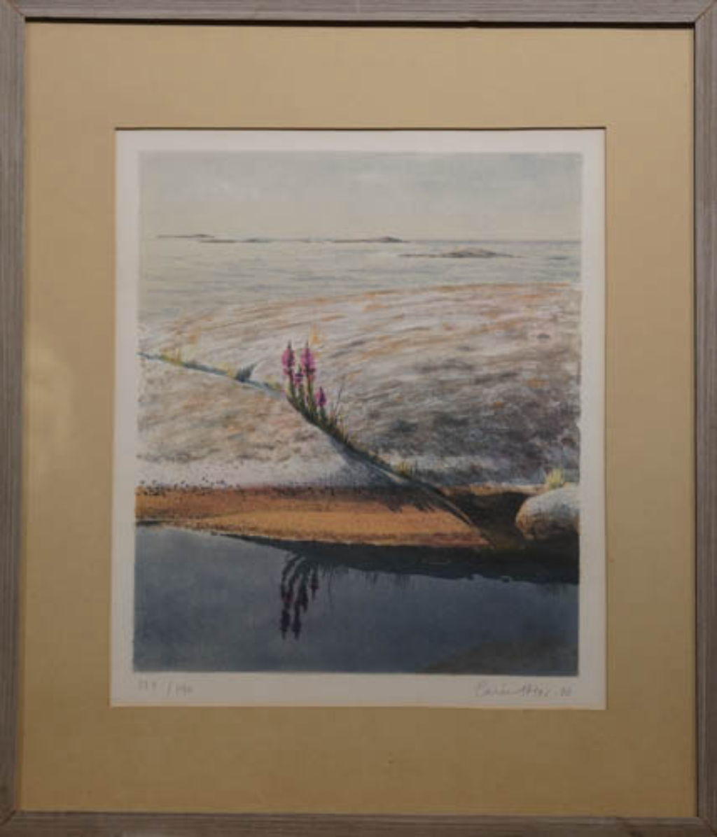 '9. Fackelblomster, lito 42x49', ett konstverk av Carin Adler