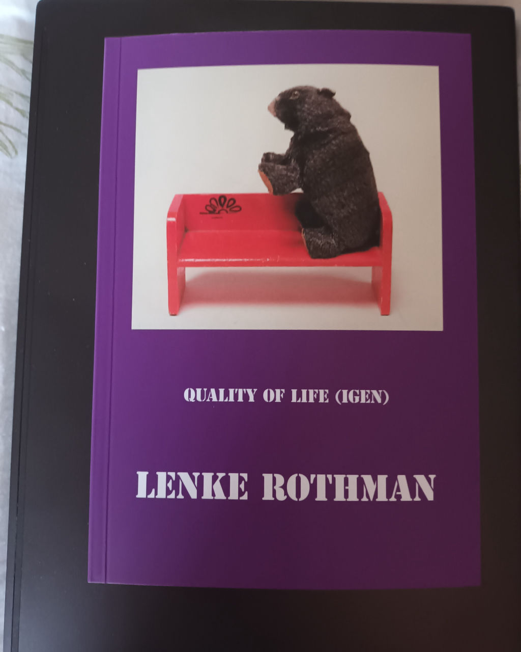 'Quality of life (igen) SAKs årsbok', ett konstverk av Lenke Rothman