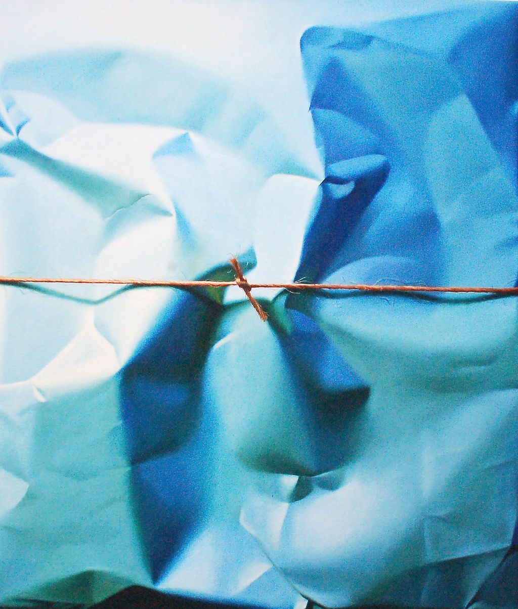 'Parcel in blue harmonic motion', 2013, ett konstverk av Yrjö Edelmann
