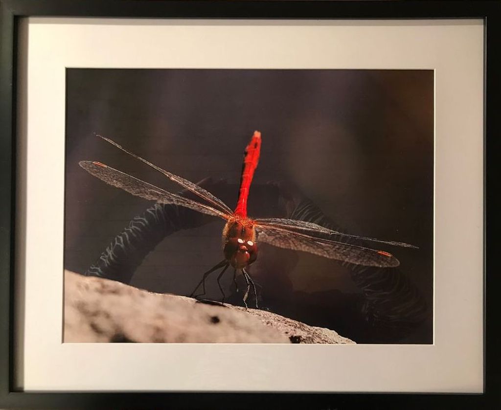 'Blodröd trollslända', ett konstverk av Anders Perströmer