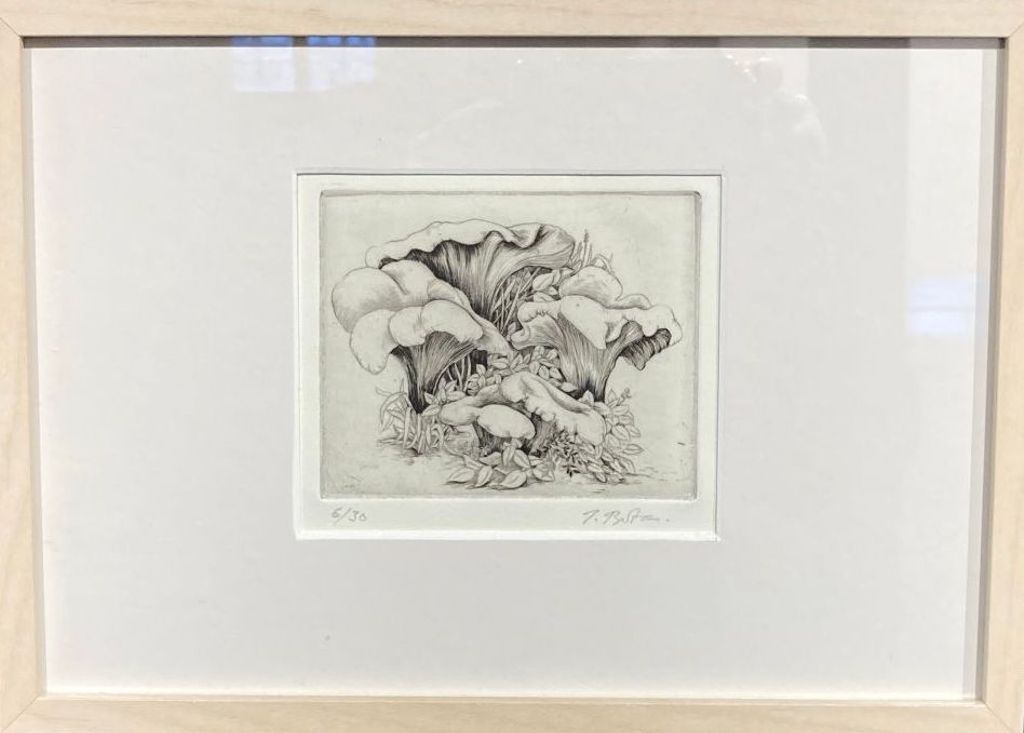 'Katareller', ett konstverk av Jordi Bota