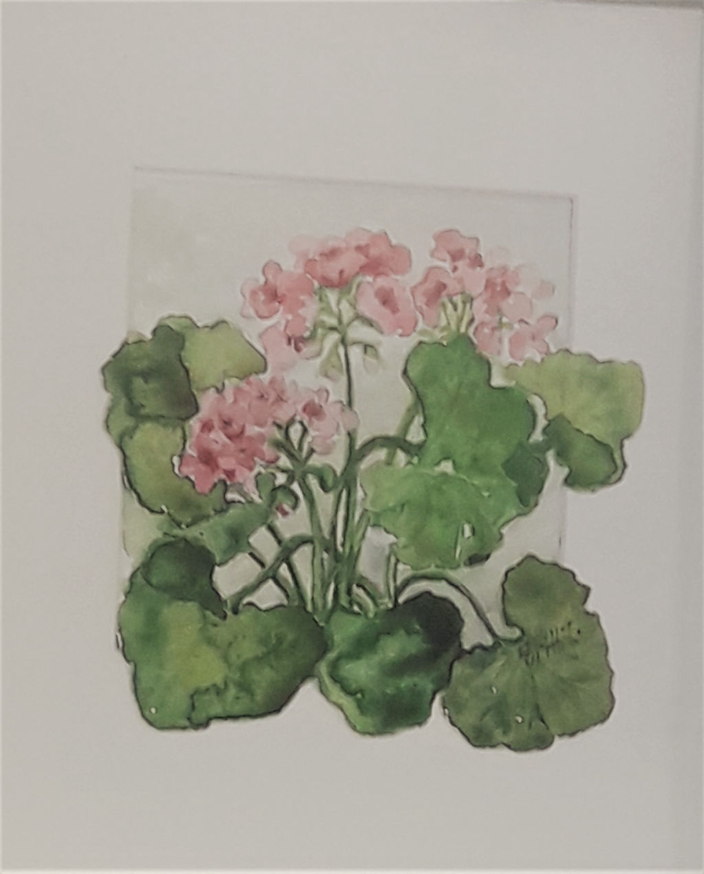 'Liten rosa pelargon', ett konstverk av Britt Johansson