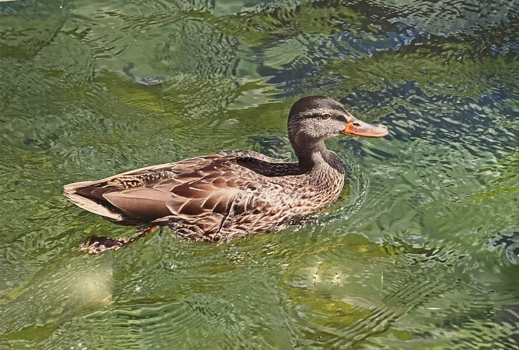 'Den leende anddamen', ett konstverk av Harald Lundqvist