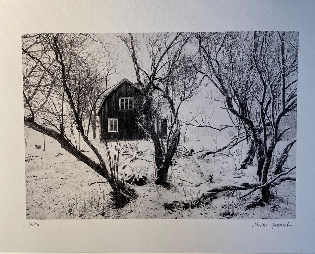 'Kohagen', ett konstverk av Markus Jenemark