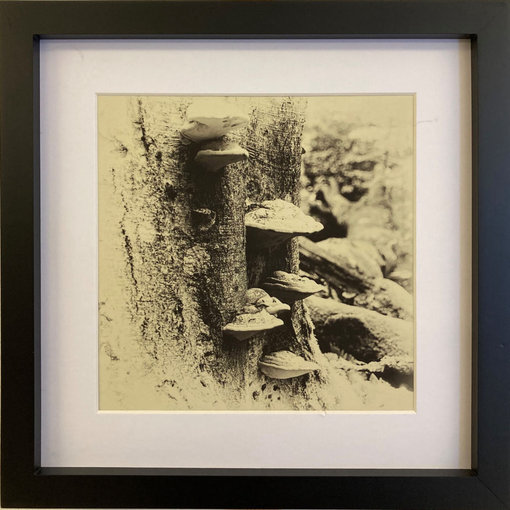 'Hovet', ett konstverk av Hans Sjöberg