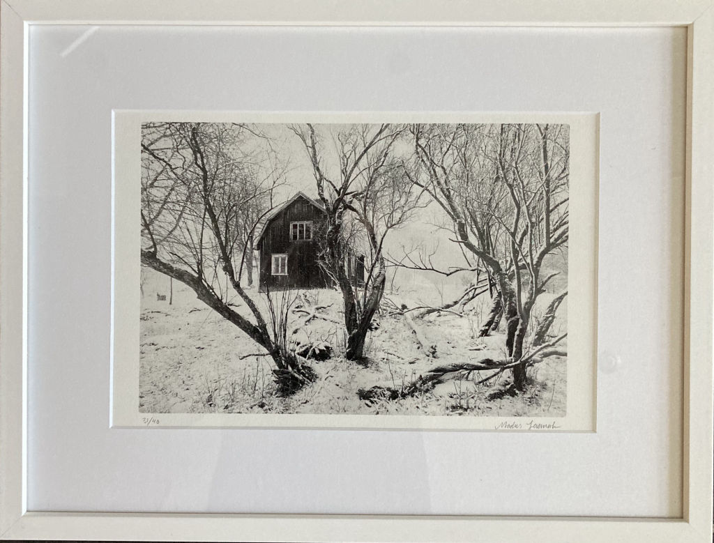 'Kohagen', ett konstverk av Markus Jenemark