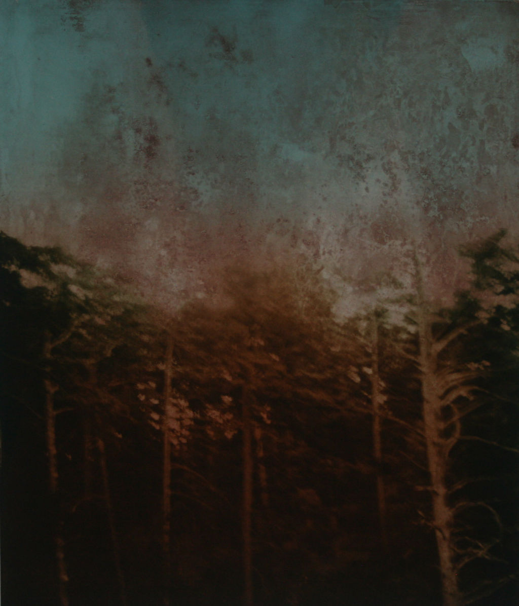 'Urskog', 2021, ett konstverk av Annette Hammarén