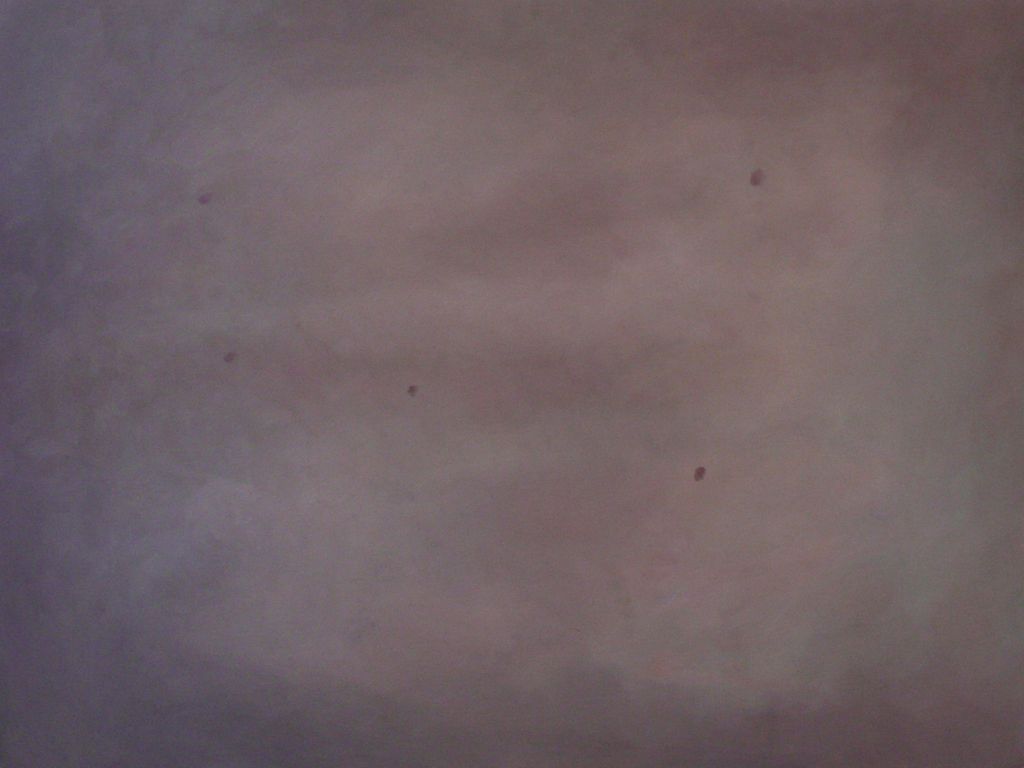 'Skin 1', 2014, ett konstverk av Johan Franzén