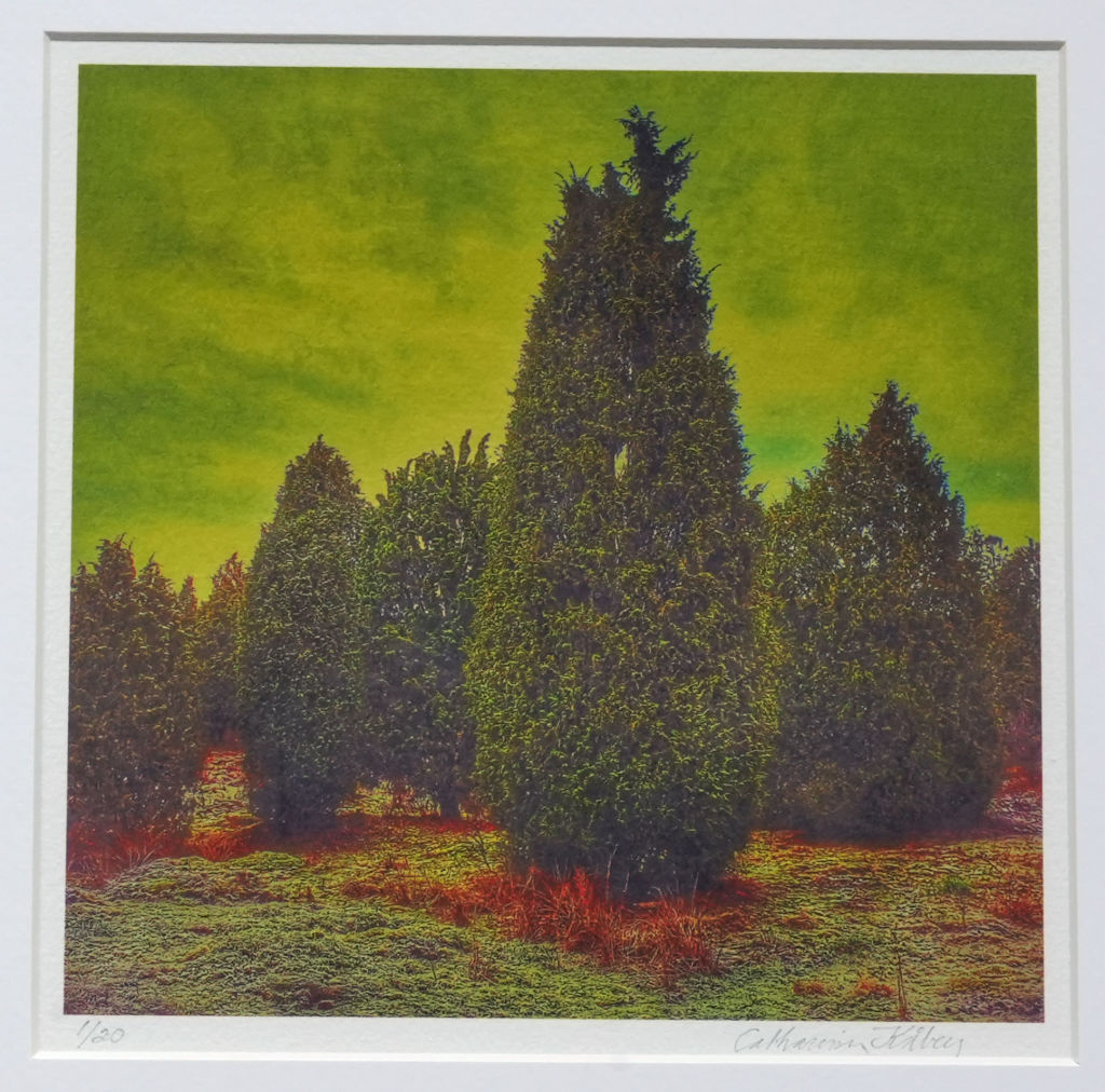 'Enar (38)', ett konstverk av Catharina Kåberg