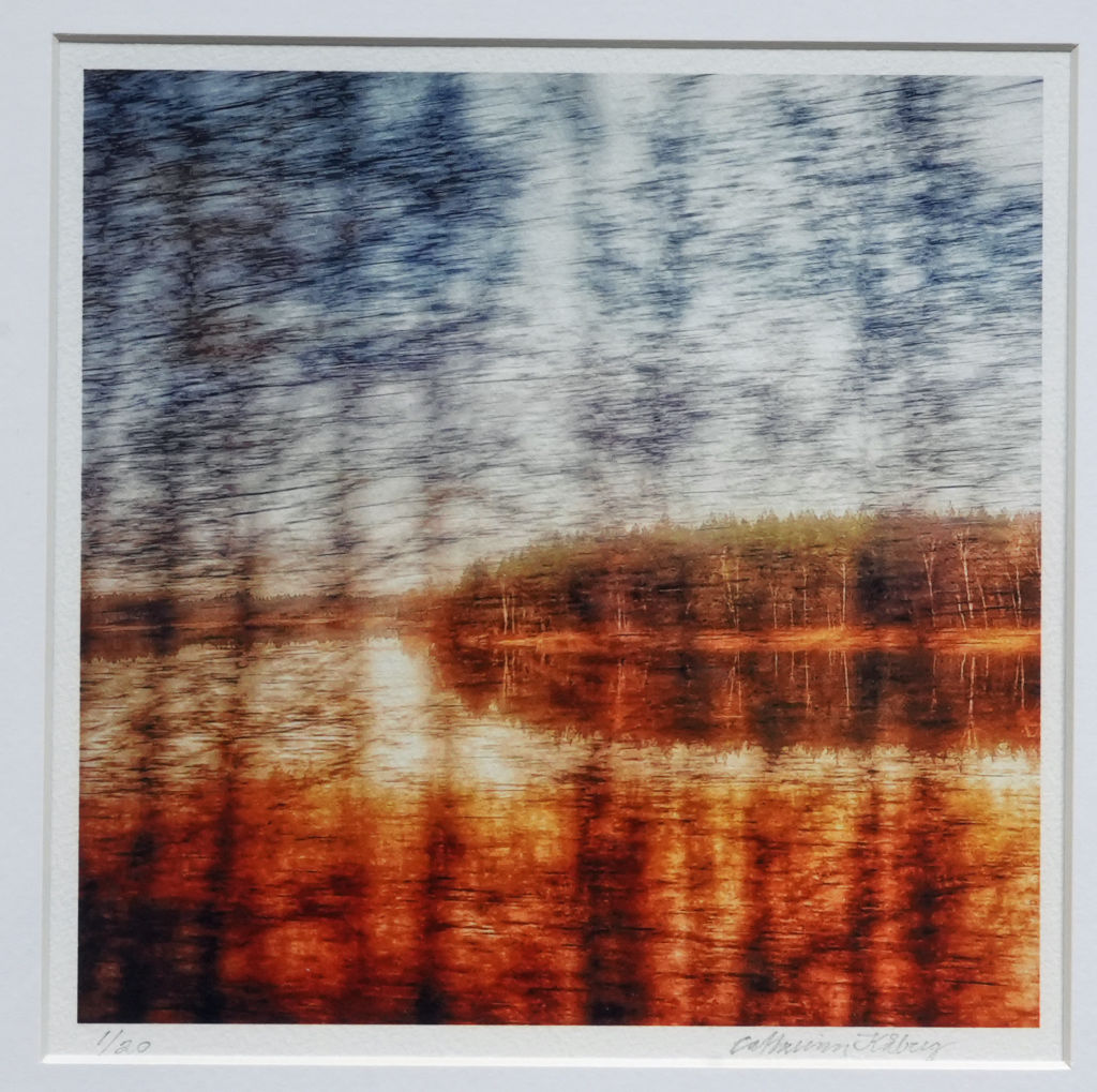 'Träd i farten (37)', ett konstverk av Catharina Kåberg