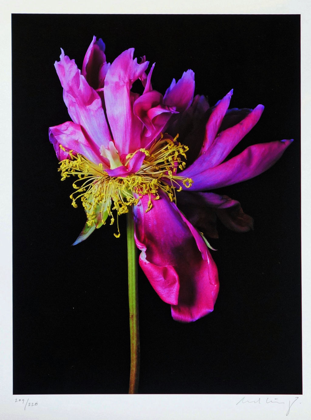 'Till vila (33)', ett konstverk av Edvard Koinberg