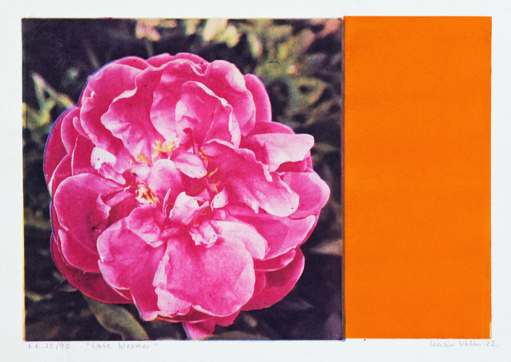 'Late bloomer (50)', ett konstverk av Cecilia Uhlin