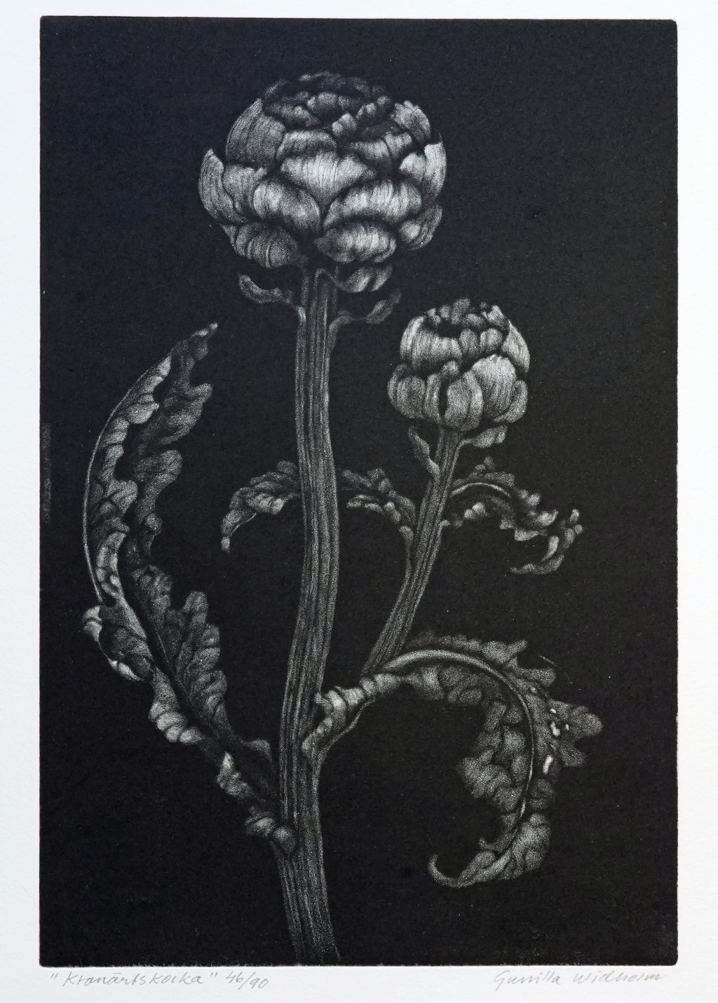 'Kronärtskocka (48)', ett konstverk av Gunilla Widholm