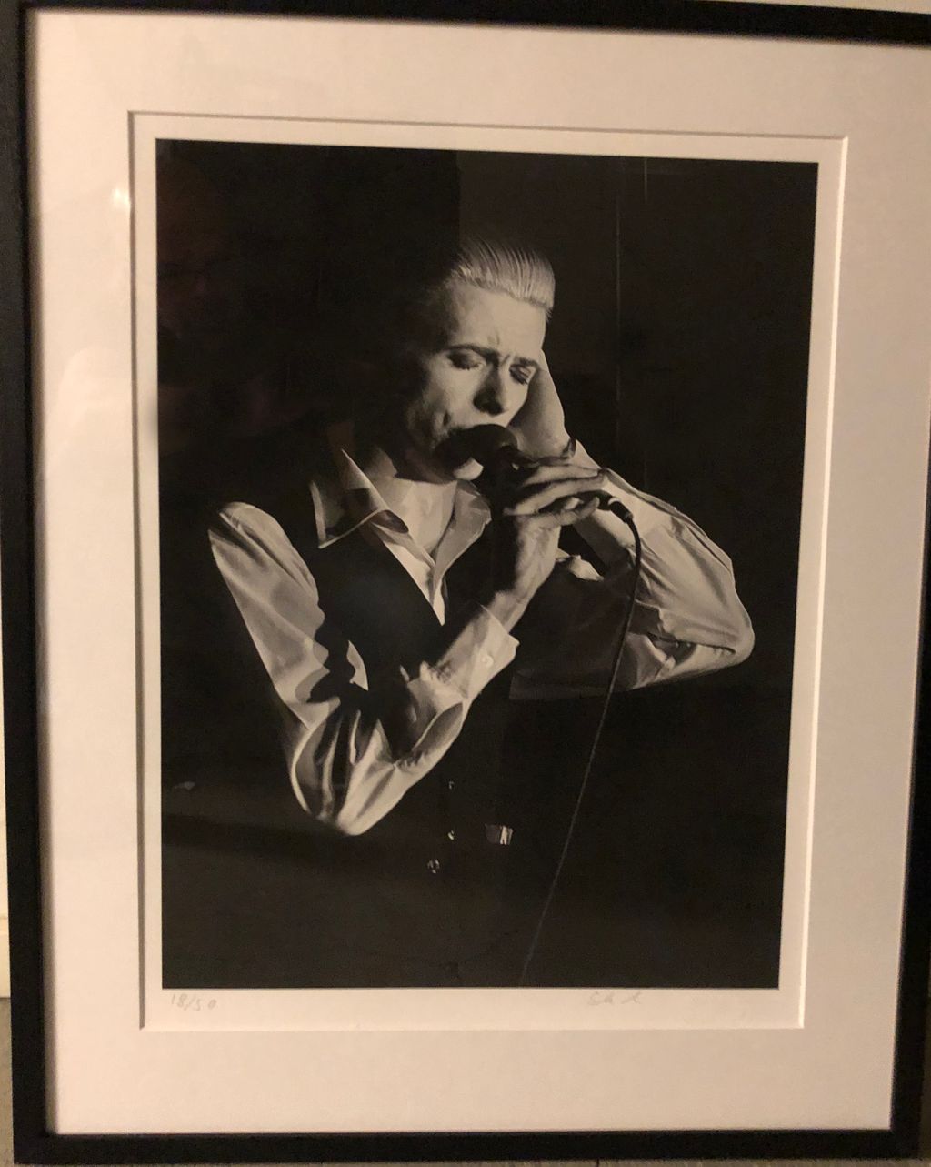 '9. David Bowie', ett konstverk av Stefan Almers