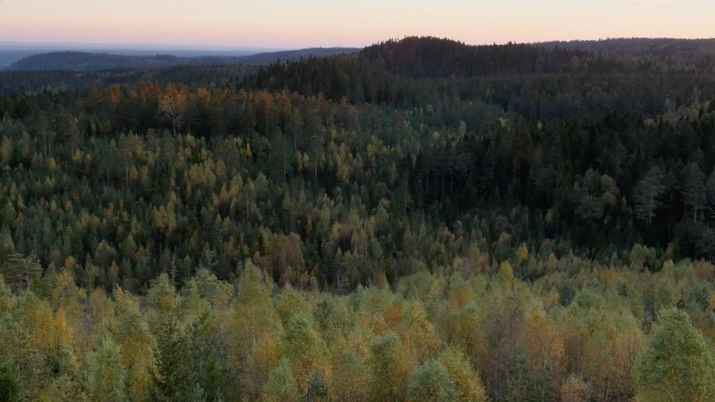 'Nordiska panoraman, landskap 2', 2018, ett konstverk av My Lindh