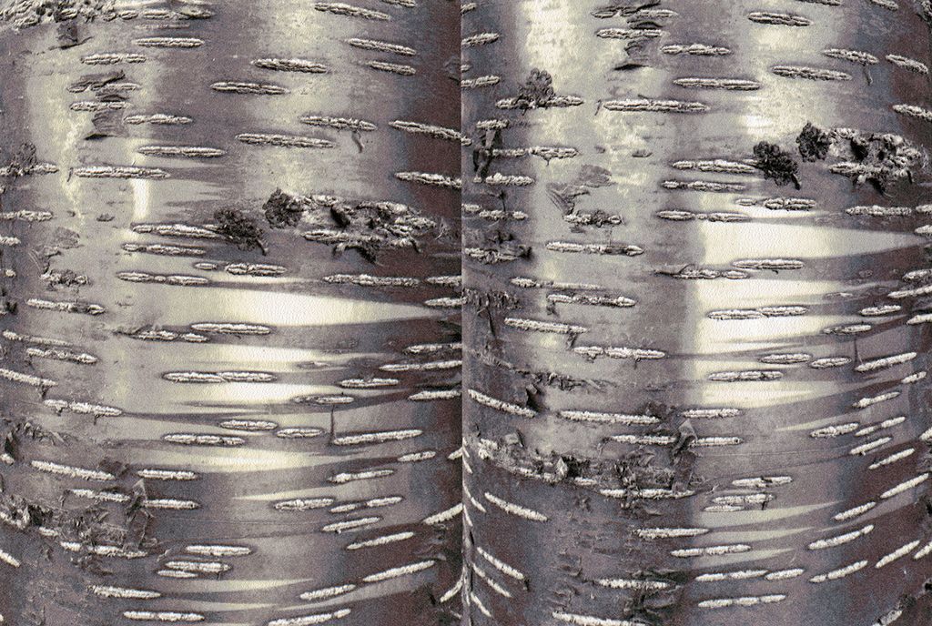 'Message III', 2017, ett konstverk av Nils-Erik Mattsson