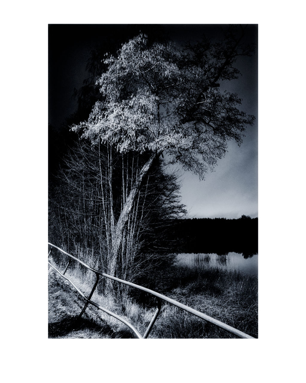 'Drizzle duggregn', 2020, ett konstverk av Martha Ander