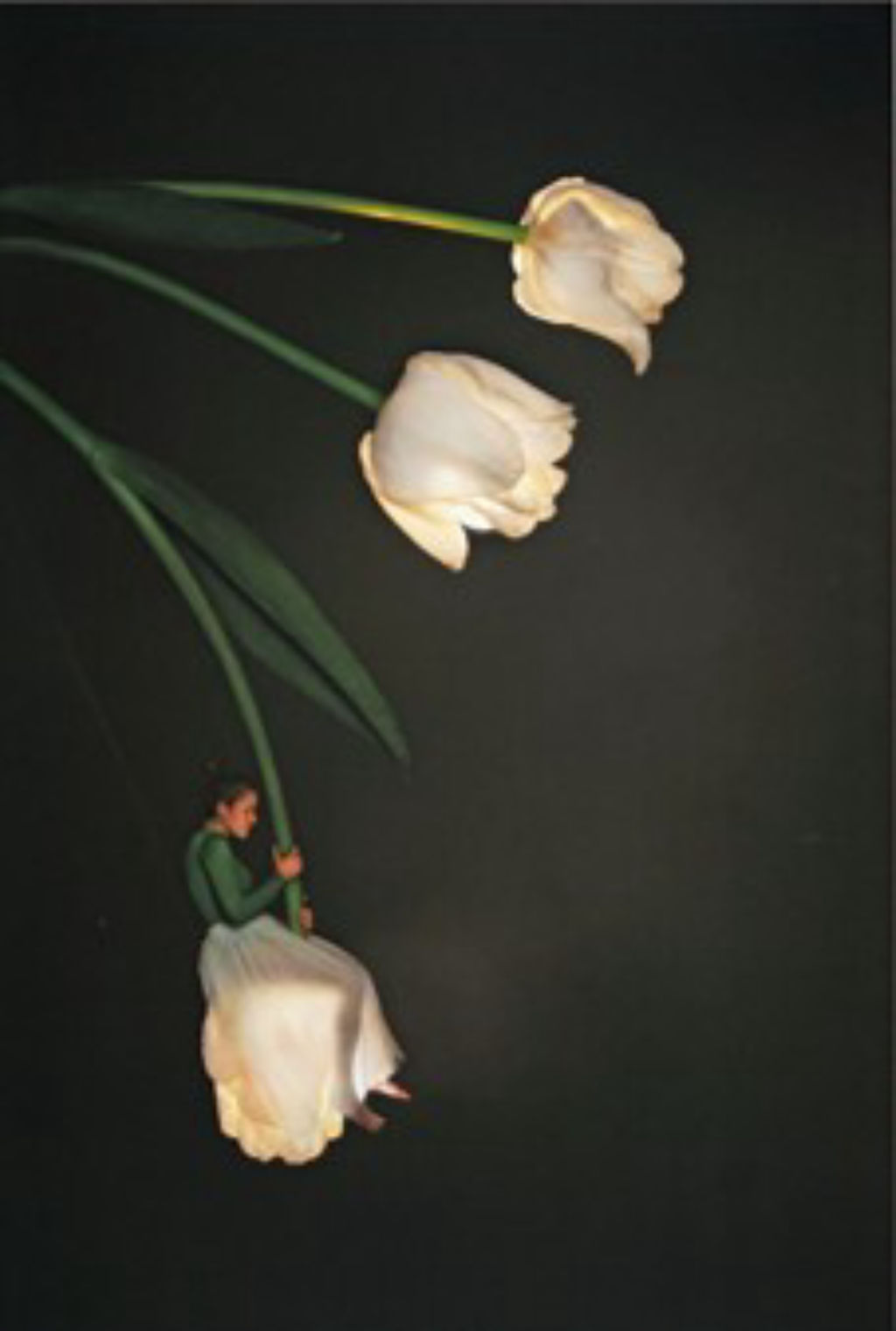 'Forgotten', ett konstverk av Sonja Hesslow