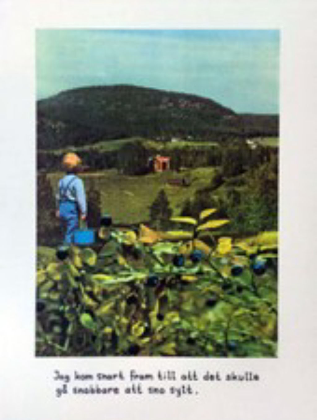 'Blåbär', ett konstverk av Jan Stenmark