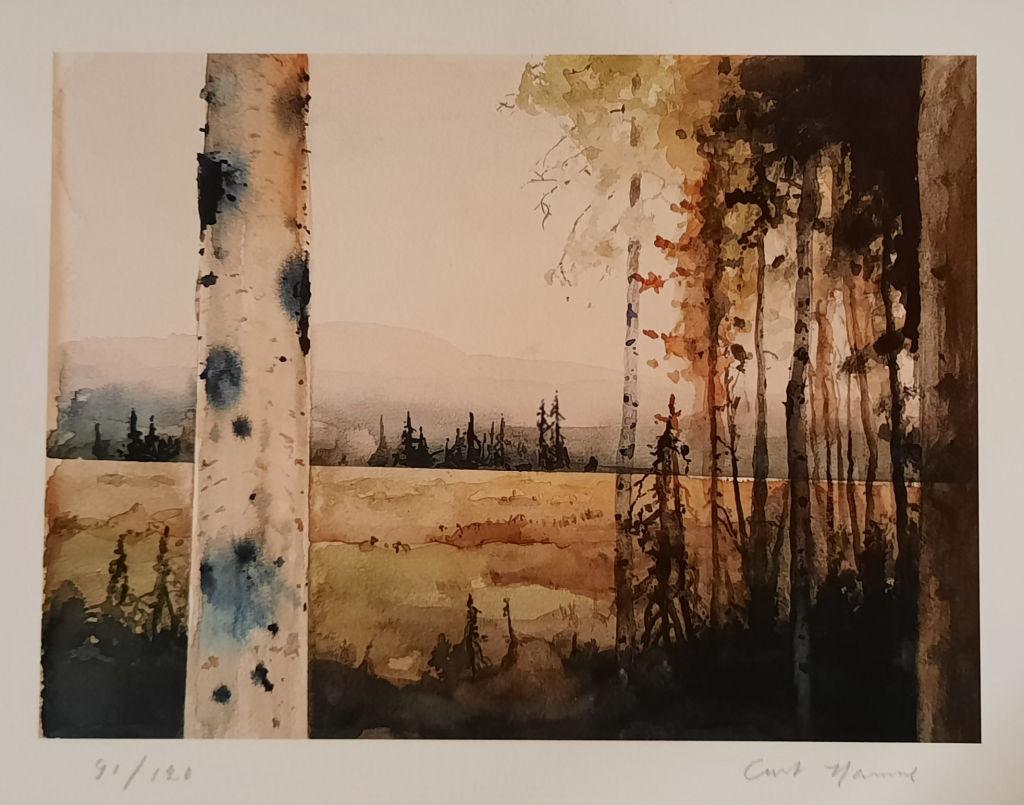 'Verk 18 Morgon över myren', ett konstverk av Curt Hamne