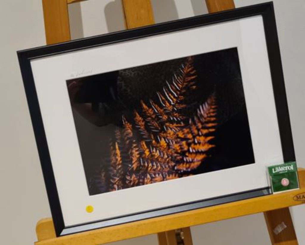 '5. Höstormbunke', ett konstverk av Elisabeth Gafvelin