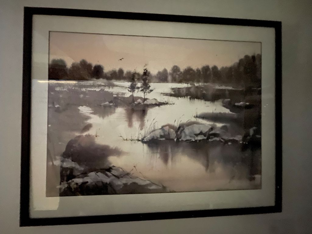 'Stora mossen', ett konstverk av Anders Andersson