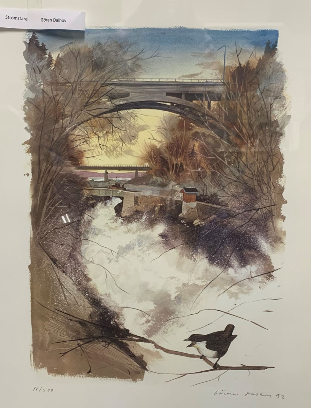 'Strömstare oramat blad, 5- eller 10-års premie', ett konstverk av Göran Dalhov