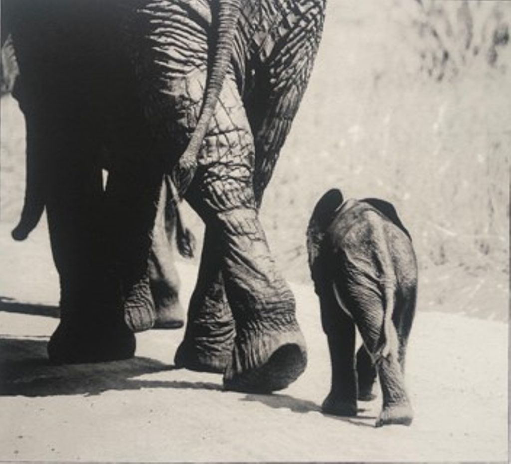 'U.T I', 2020, ett konstverk av Sem Larsen