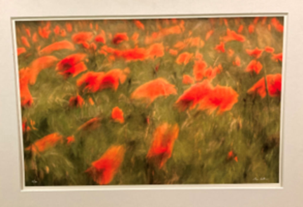 '23. Vallmo ', ett konstverk av Okänd