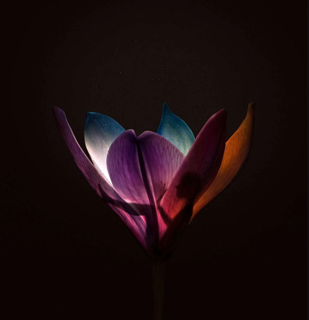 '22-26. Repose', ett konstverk av Sonja Hesslow