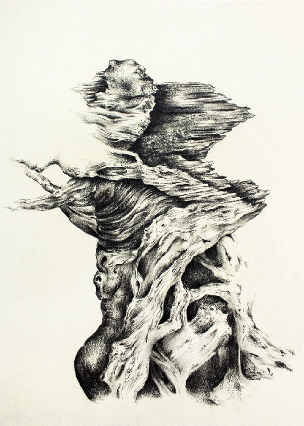 'Warped wood', 2012, ett konstverk av Maja Sikorska