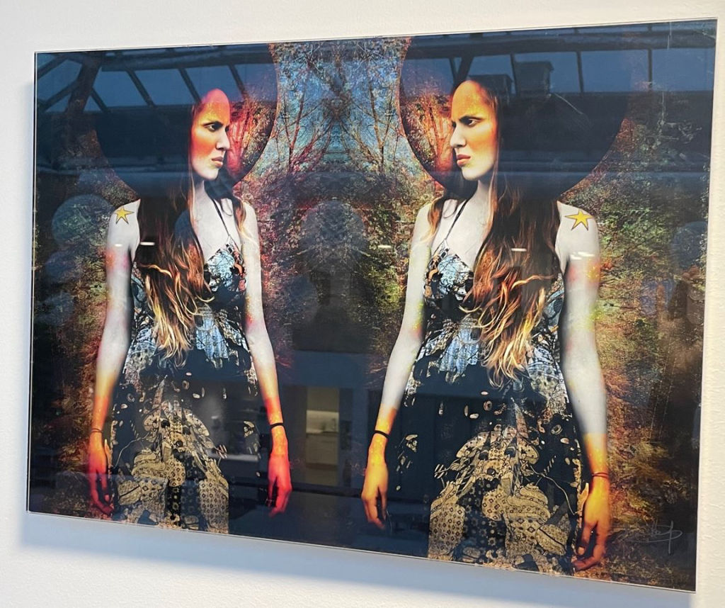 'Transfugaracion', ett konstverk av Barbara Bezina