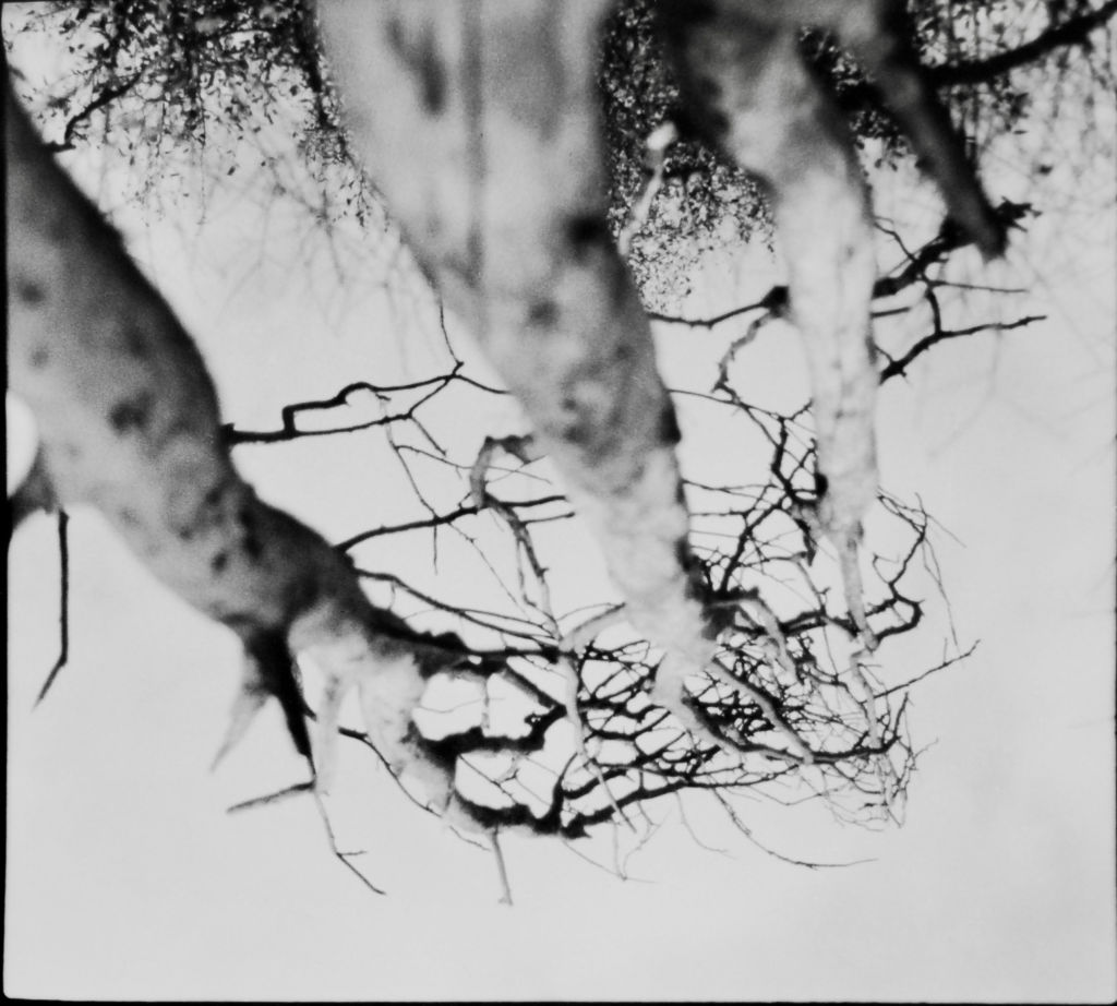 'Hammarby', 2020, ett konstverk av Katti Nilzén