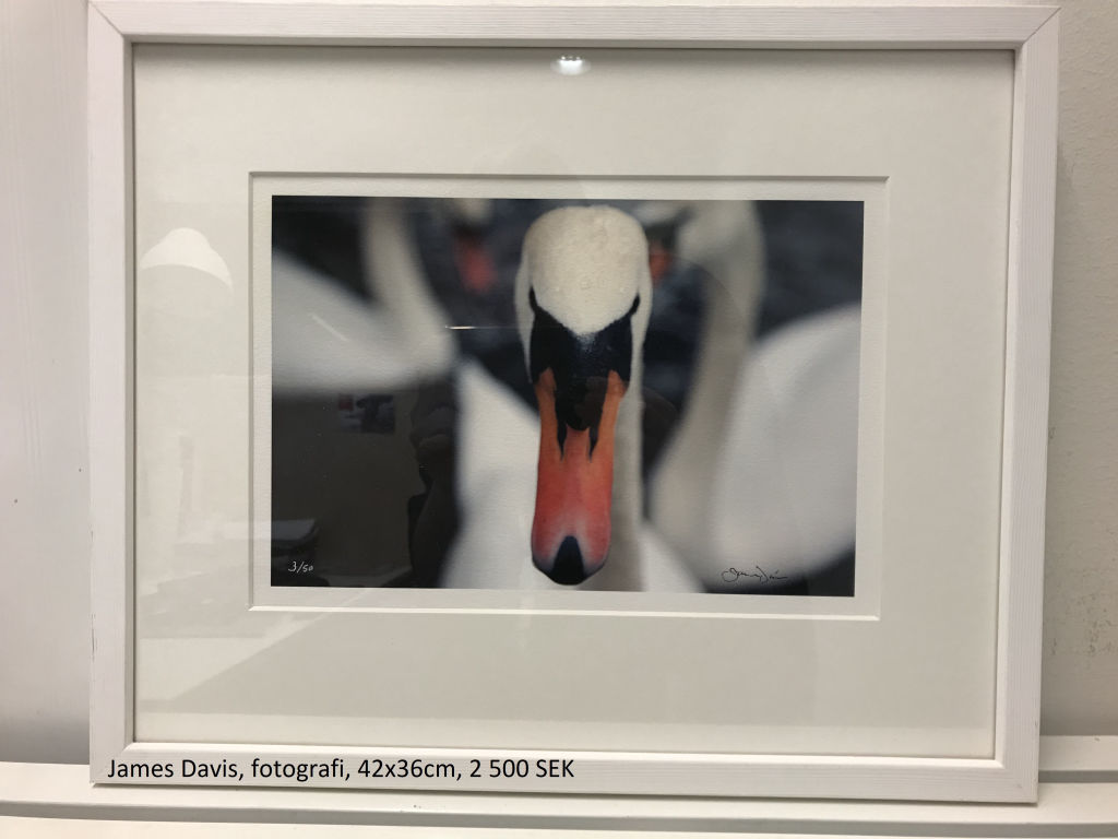 '(utan titel)', ett konstverk av James Davis