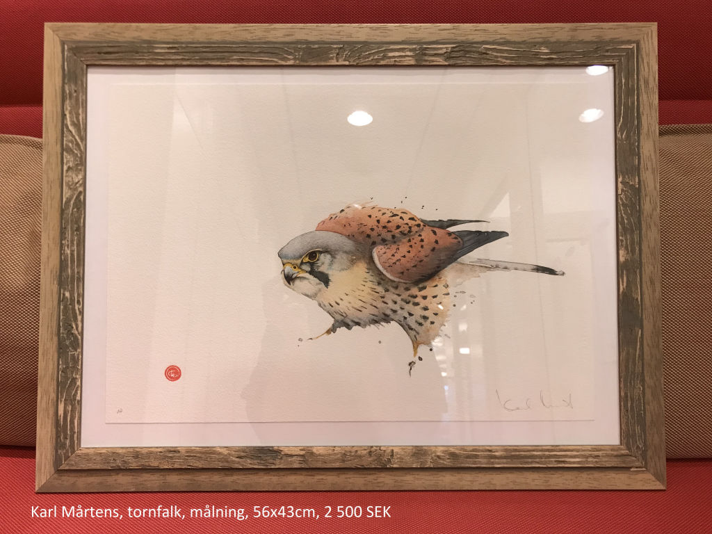'Tornfalk', ett konstverk av KARL MÅRTENS