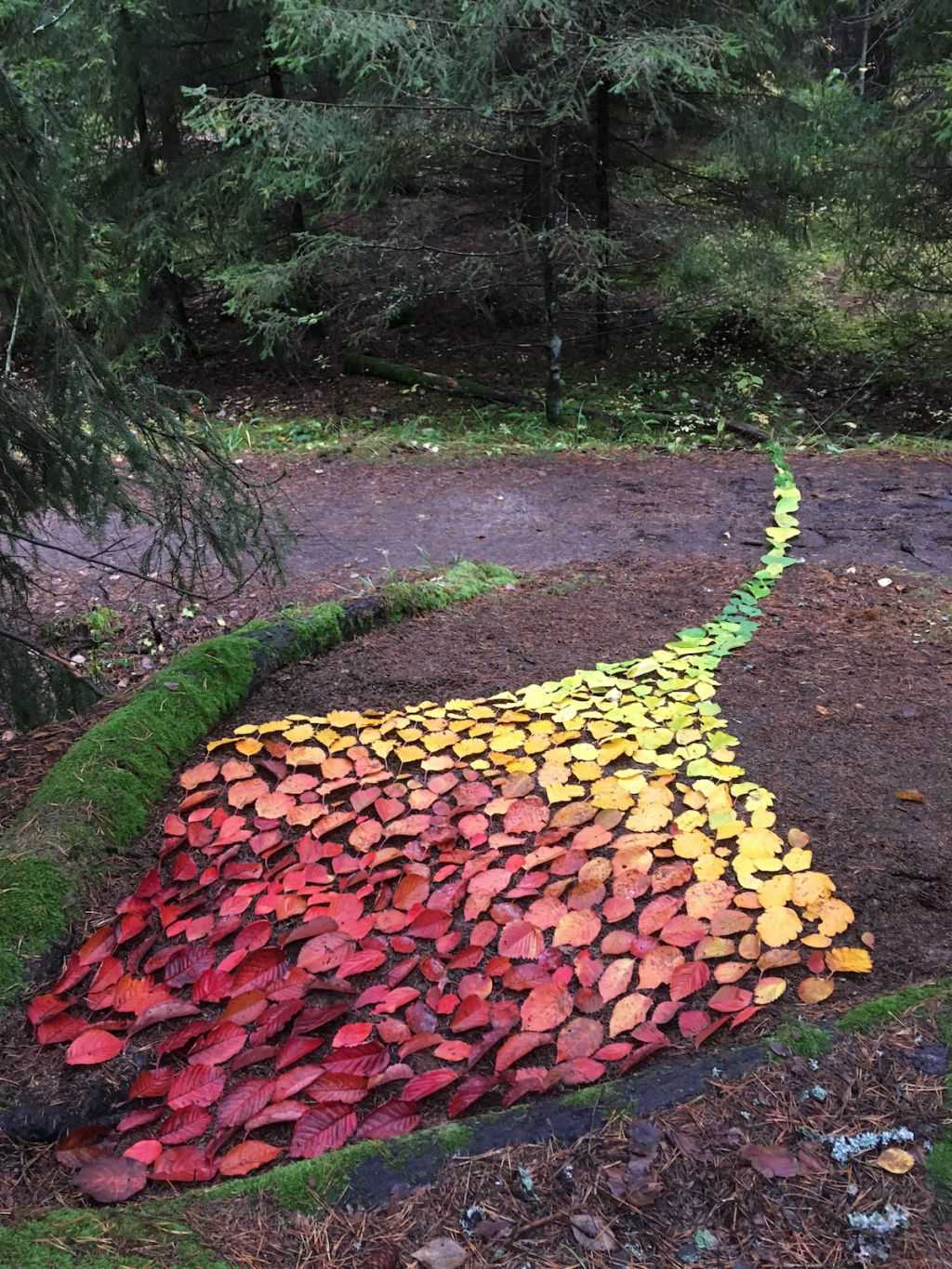 'Drake', 2019, ett konstverk av Ordna och reda