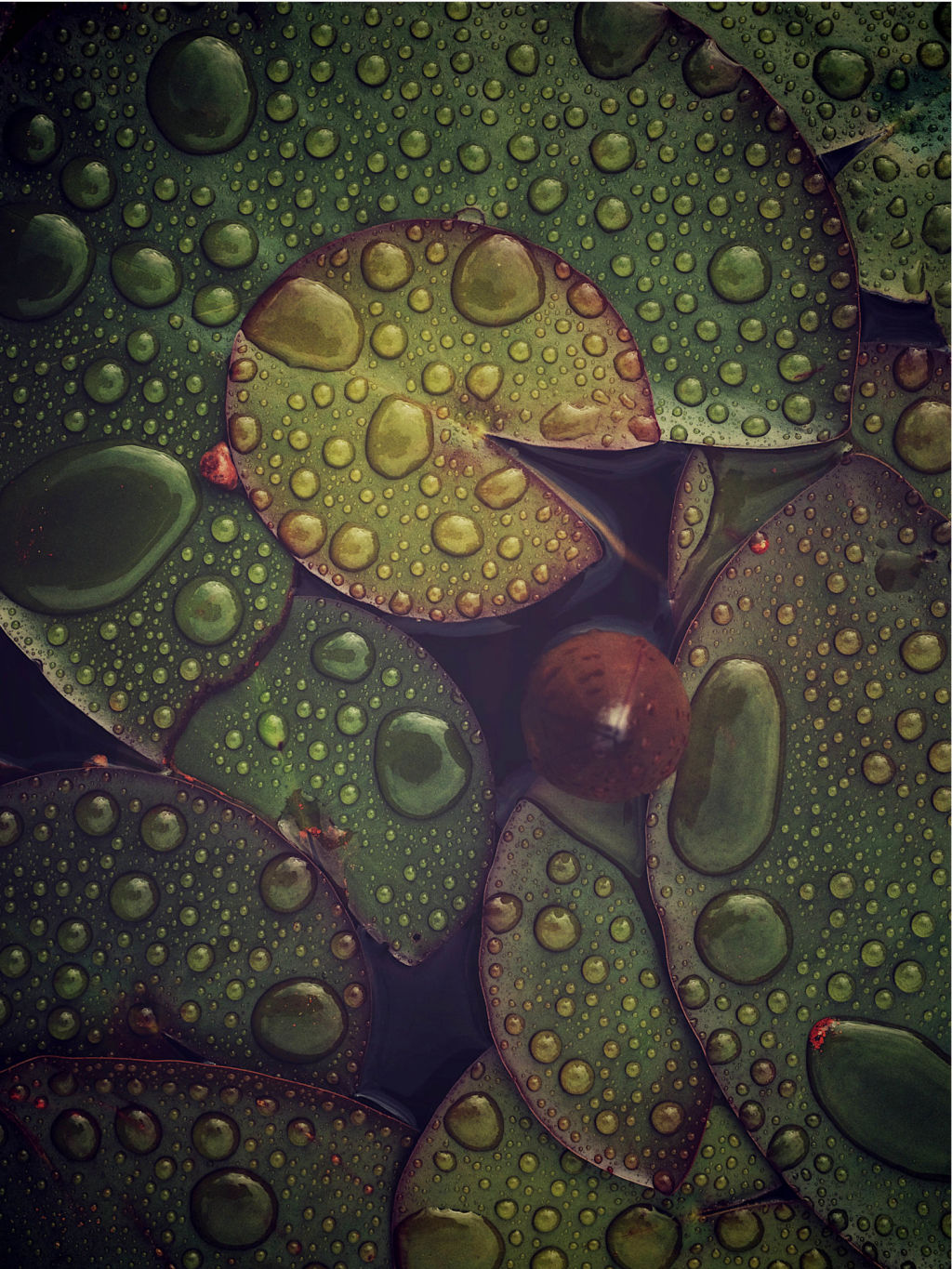 'Efter regn', 2023, ett konstverk av Johanna Liljestrand Rönn