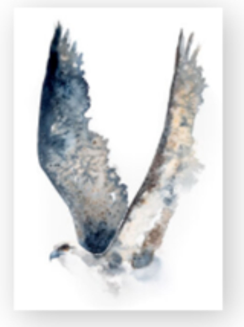 '15. Stolta vingar', ett konstverk av Elinor Pilebro