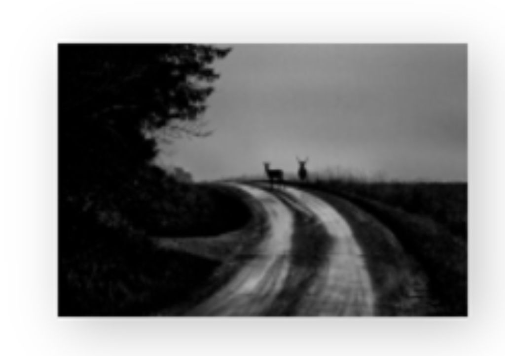 '9. Two of a kind', ett konstverk av Camilla Cherry