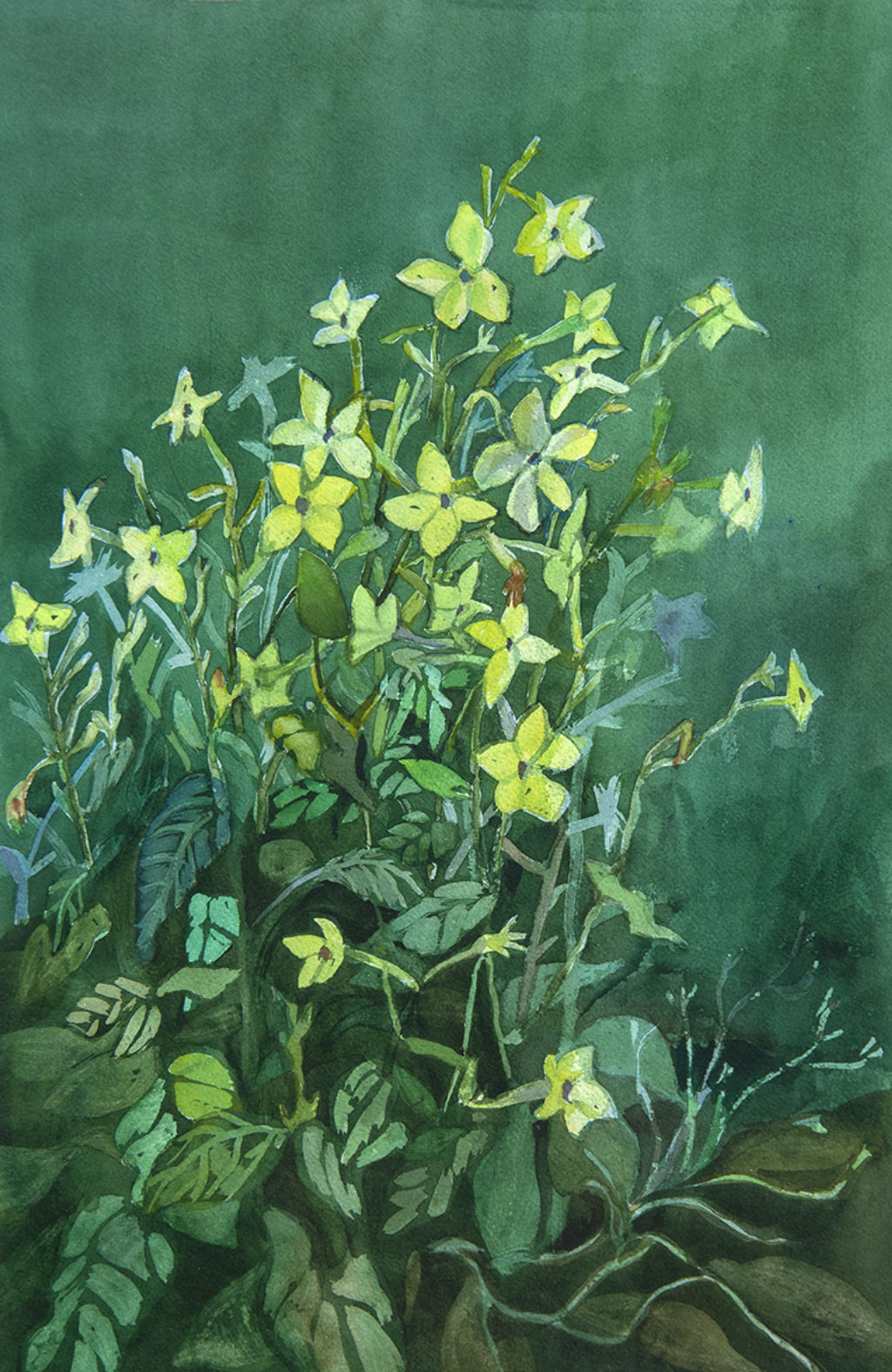 'Tobaksplanta', 2022, ett konstverk av Natasha Dahnberg